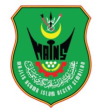 MAINS Logo